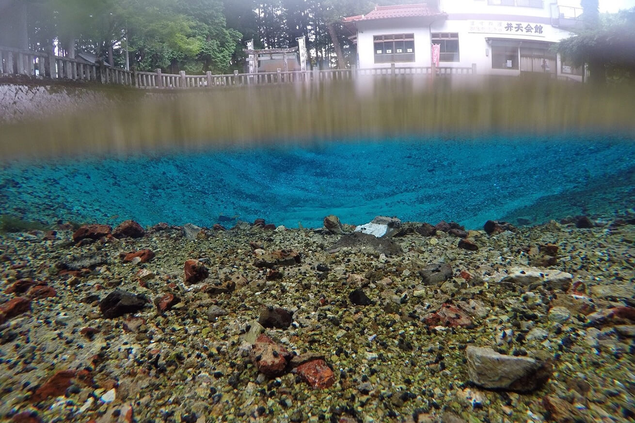 別府弁天池の水の中