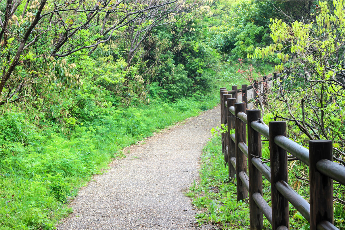 高尾山